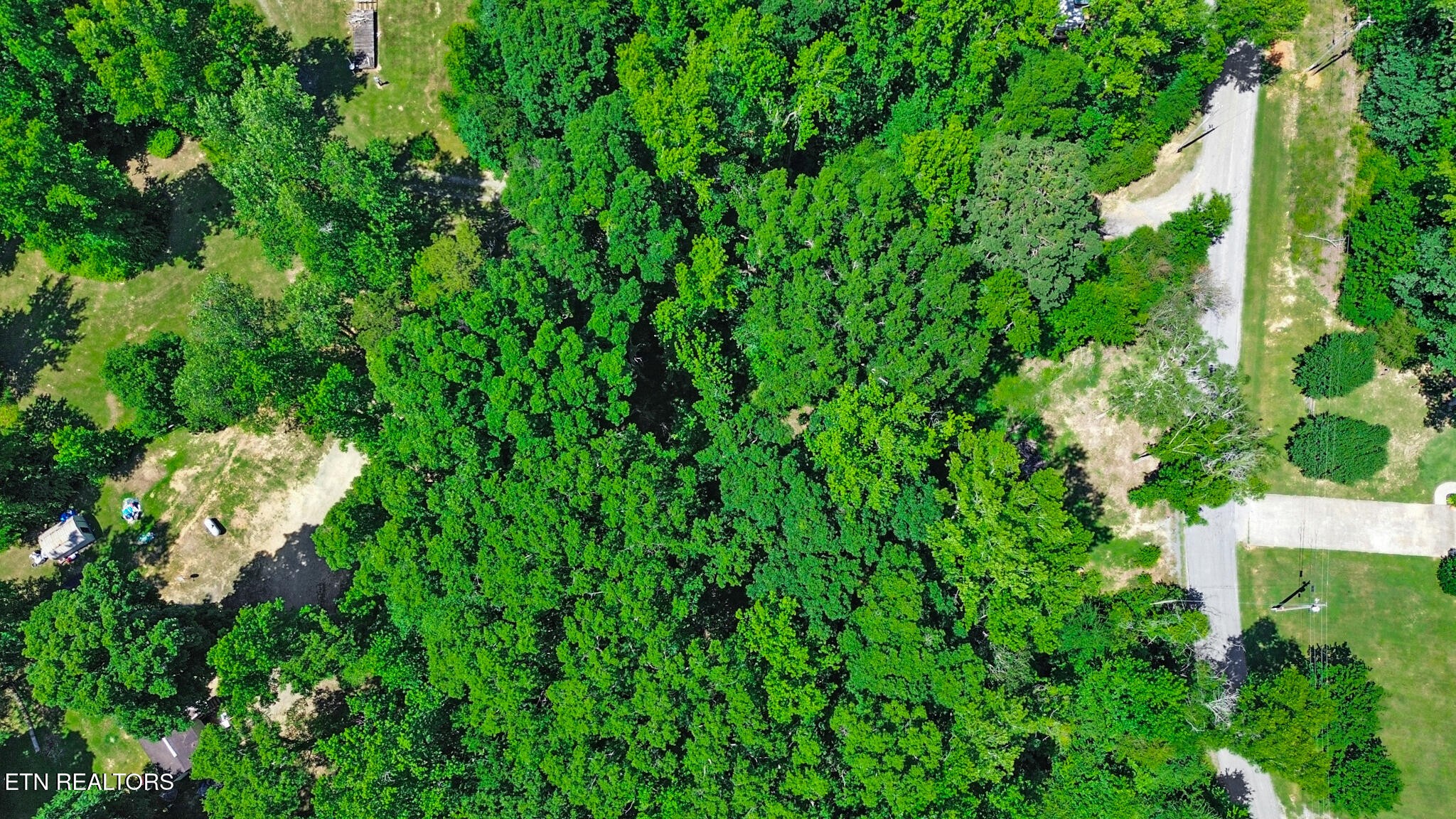 1783 Holly Glen Road Decatur, TN 37322 - Photo 54 of 59