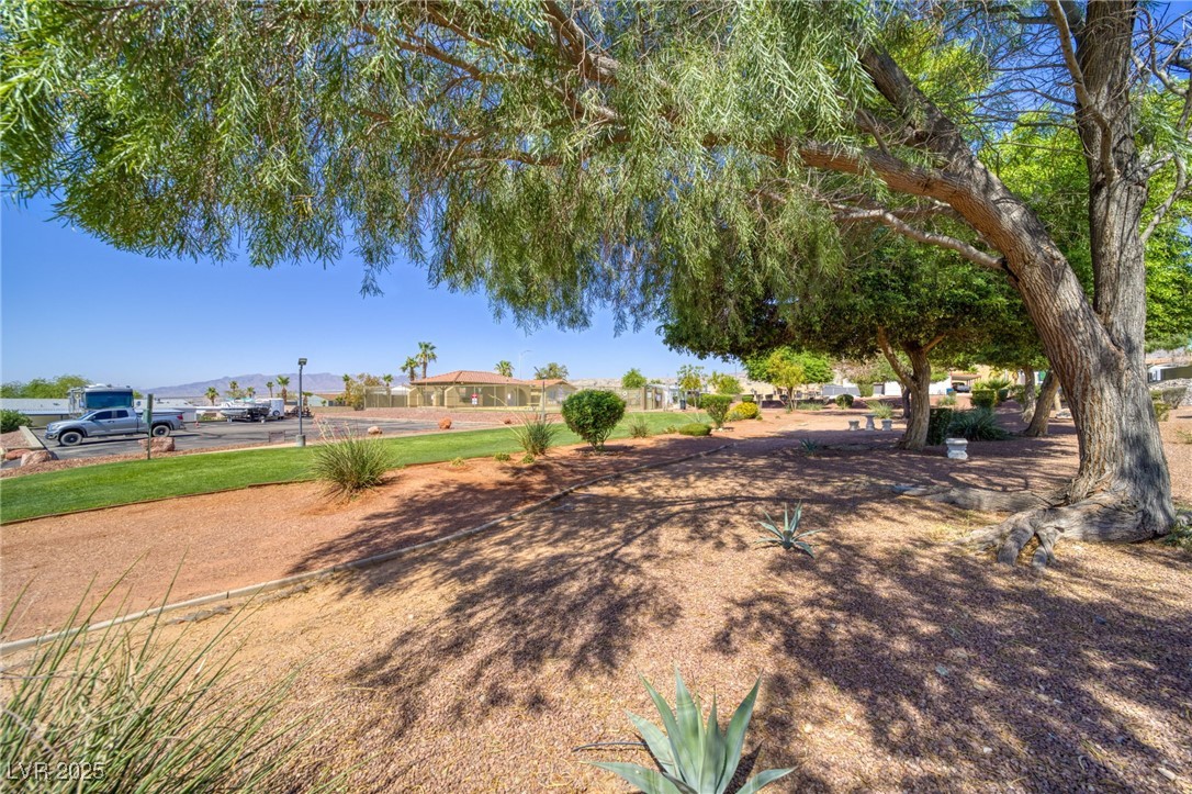 3262 Del Monte Street Laughlin, NV 89029 - Photo 37 of 42 View of yard