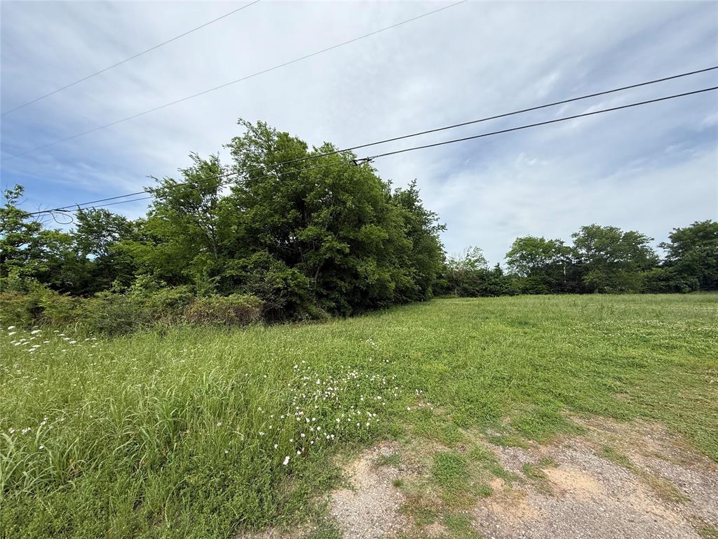 Tbd Mount Vernon Road Bogata, TX 75417 - Photo 4 of 7 a backyard of a house with lots of green space