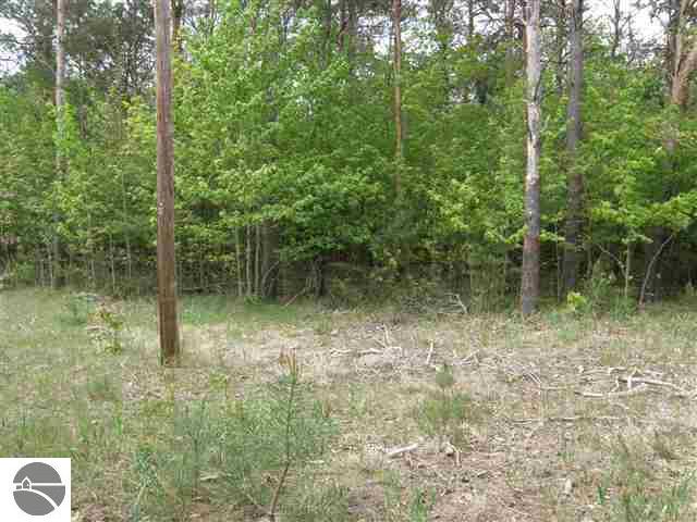 Lot#6 Rosa Road, Unit LOT: 6 Beulah, MI 49617 - Photo 17 of 18