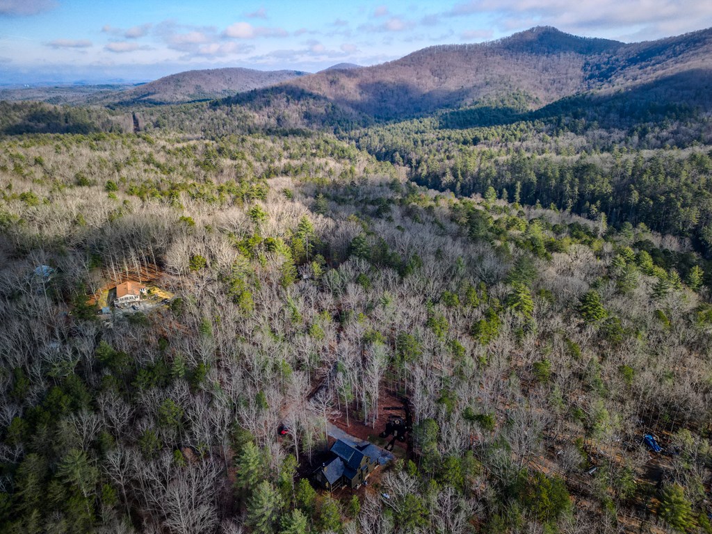 161 River Ridge Lane Blue Ridge, GA 30513 - Photo 24 of 44 Gallery Image 24