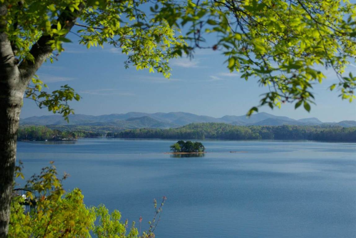 25 Eastern Point Salem, SC 29676 - Photo 11 of 36 Gallery Image 11