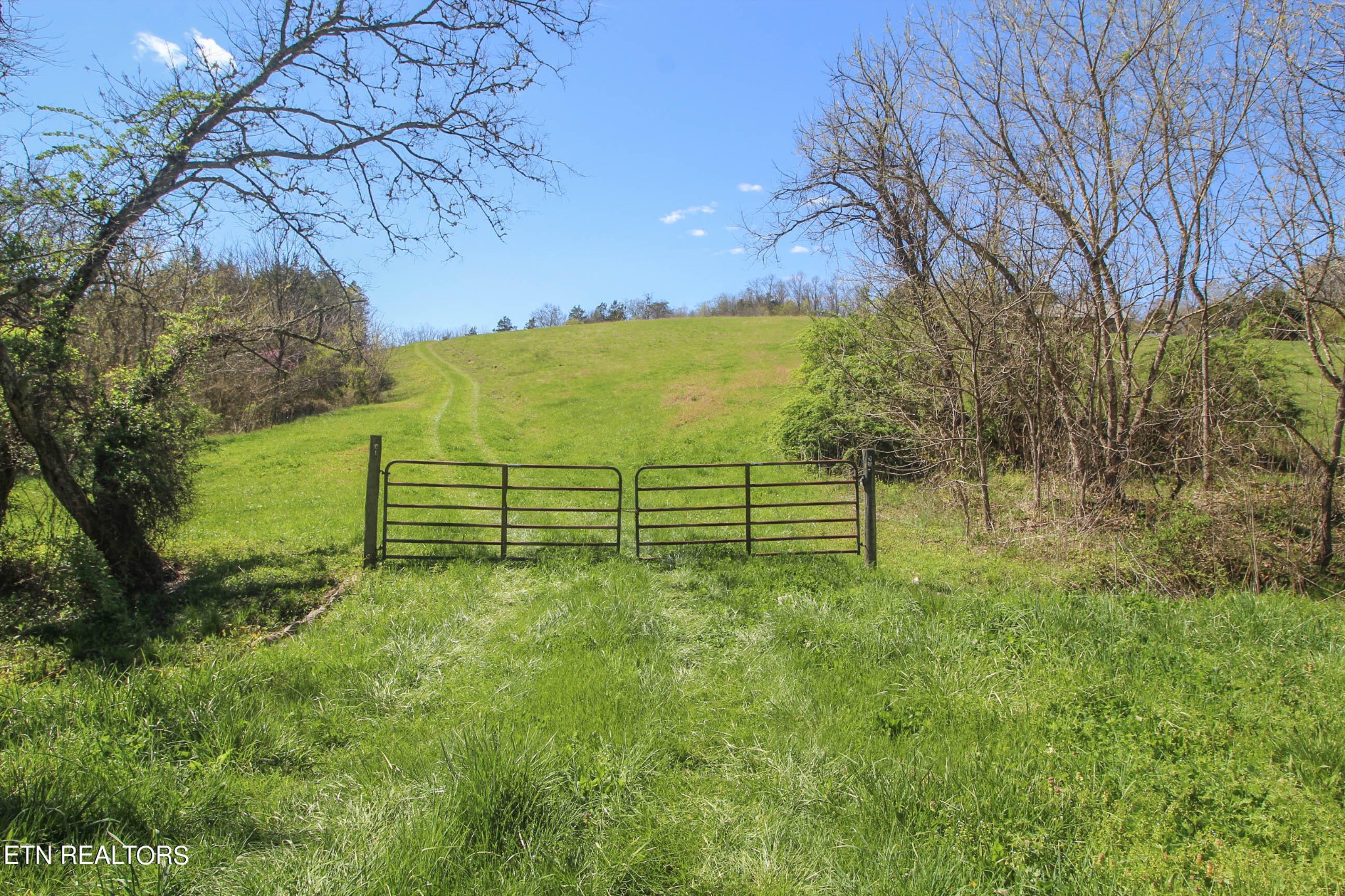 0 Fall Creek Road Maynardville, TN 37807 - Photo 1 of 21 Gallery Image 1