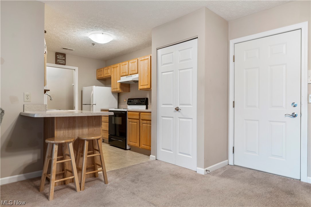 4703 Hills And Dales Road Northwest, Unit 110 Canton, OH 44708 - Photo 12 of 33 Gallery Image 12