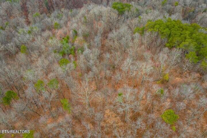 364 Jasmine Road Newport, TN 37821 - Photo 49 of 54 Jasmine 31