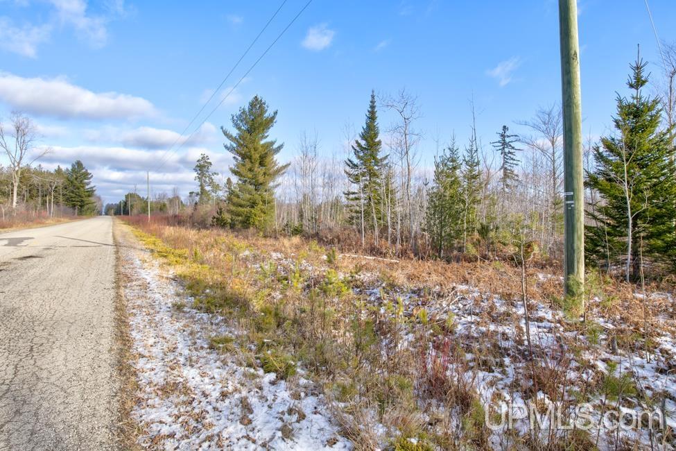 Jimtown Road Stephenson, MI 49887 - Photo 4 of 16
