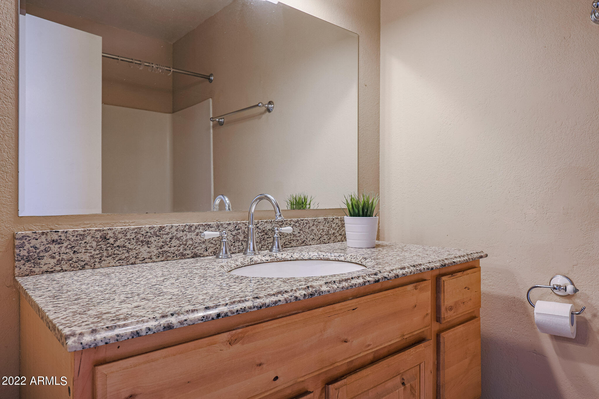 4360 East Carson Road Phoenix, AZ 85042 - Photo 8 of 16 Master Bathroom