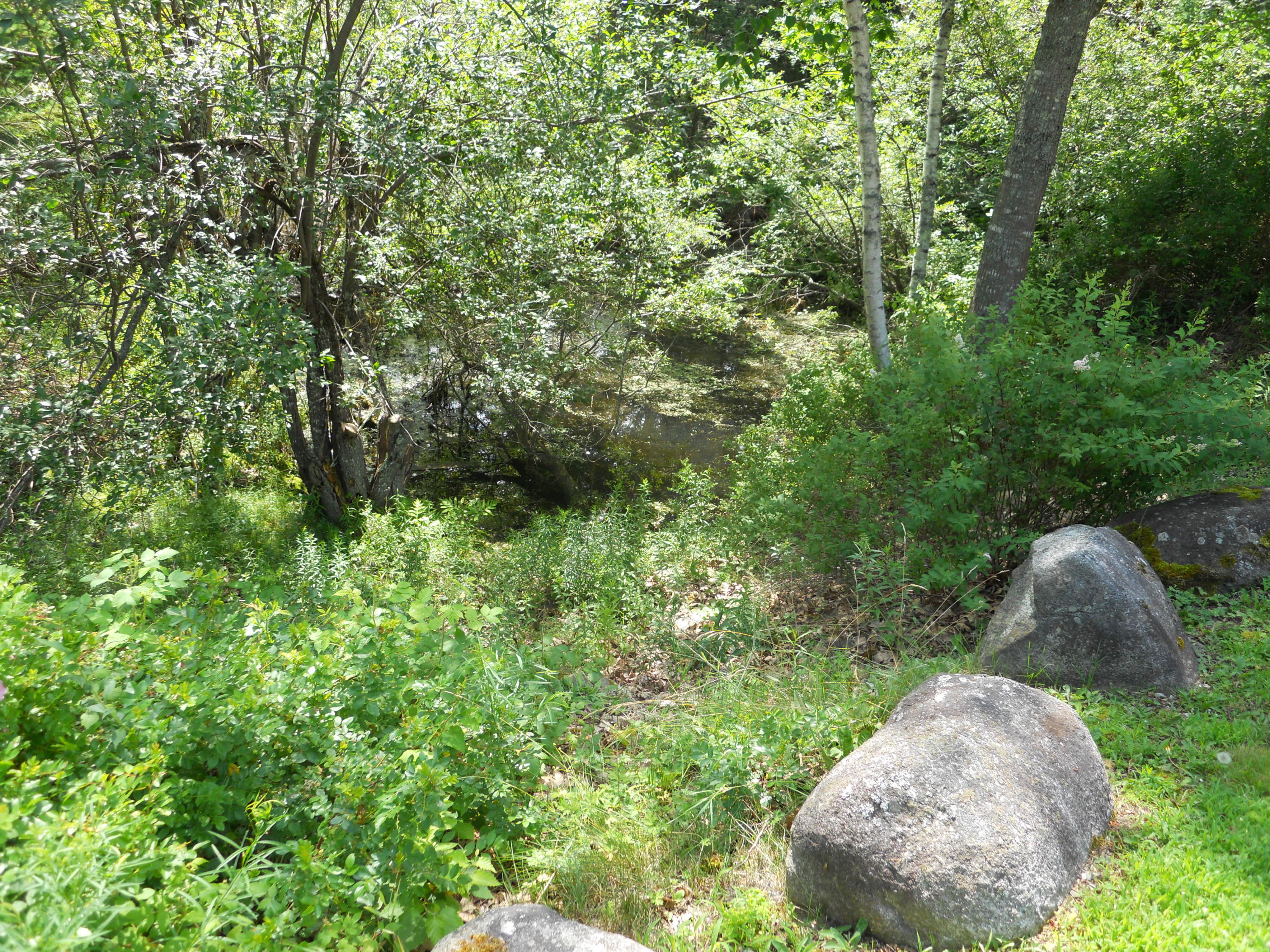 106 West Bay Road Islesboro, ME 04848 - Photo 26 of 61 Pond9724
