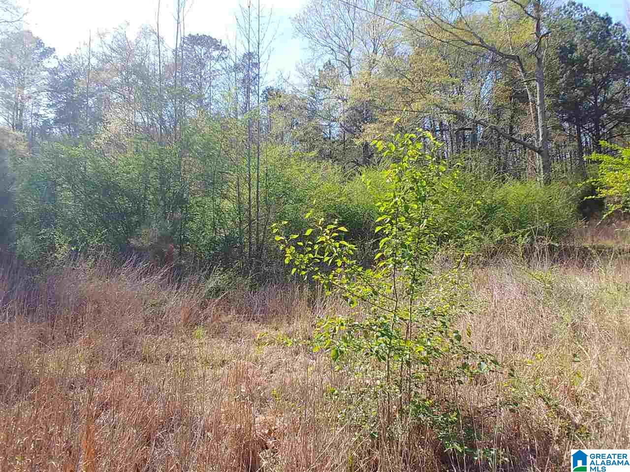 0 Roberts Mill Pond Road, Unit 1 39 Pell City, AL 35128 - Photo 11 of 29