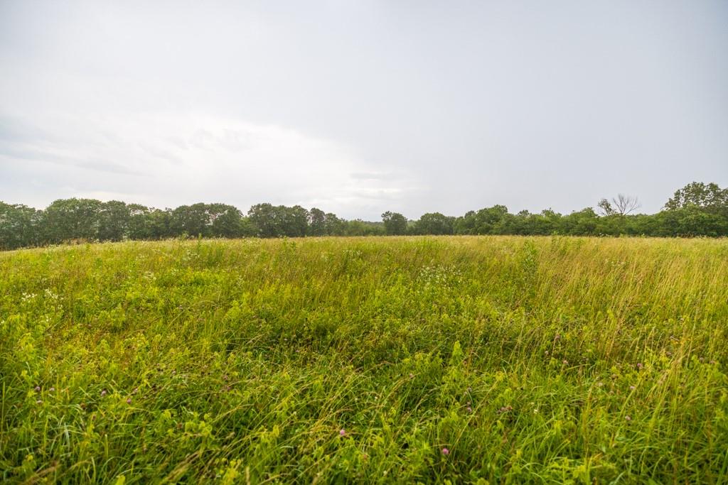 Tbd Norris Road Rayville, MO 64084 - Photo 25 of 35