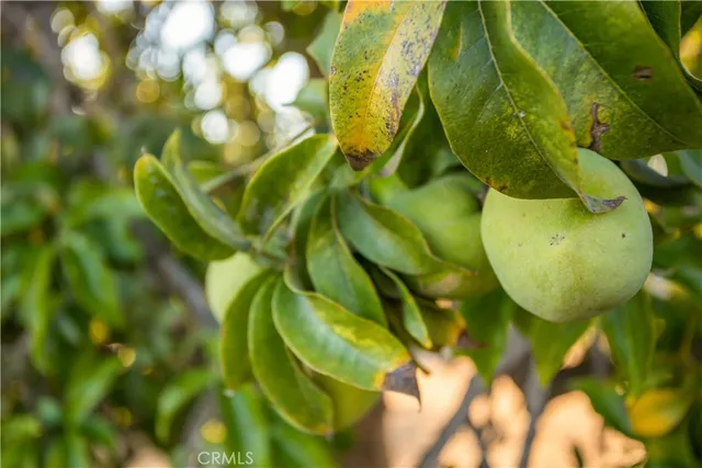 $876,500 | 711 Tumble Creek Lane, Fallbrook, CA 92028