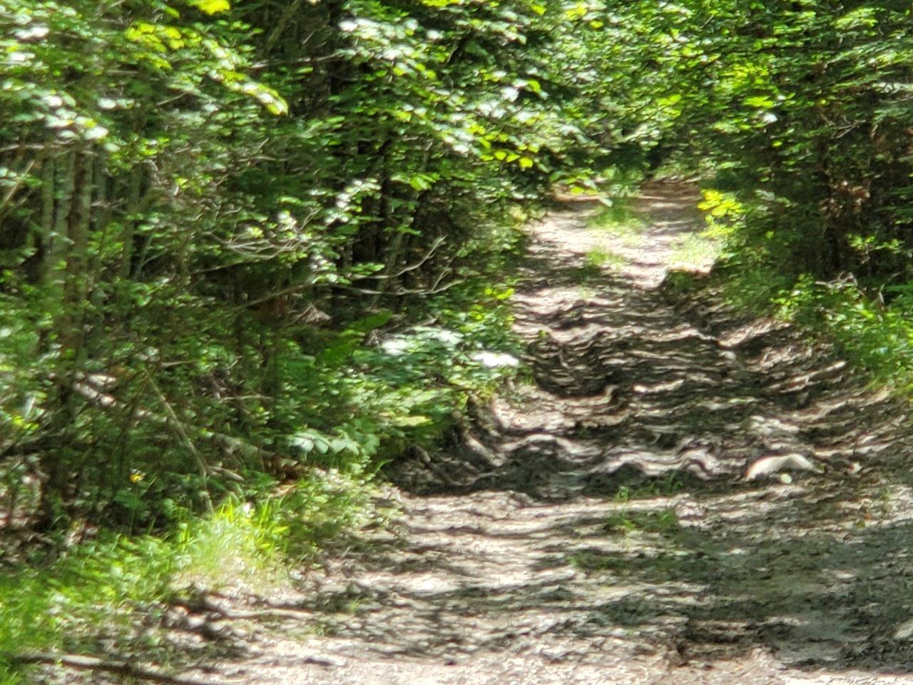 0 Morgan Road Burnham, ME 04922 - Photo 28 of 69 20250617_124030