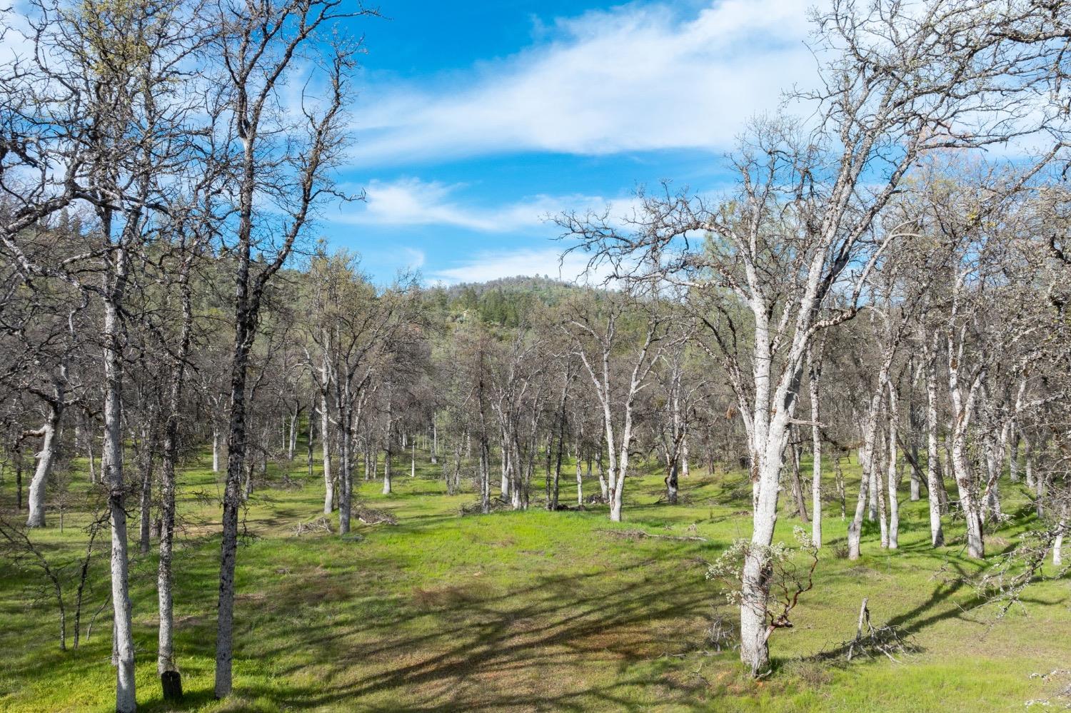 5328 East Whitlock Road Mariposa, CA 95338 - Photo 1 of 22 a view of a golf course