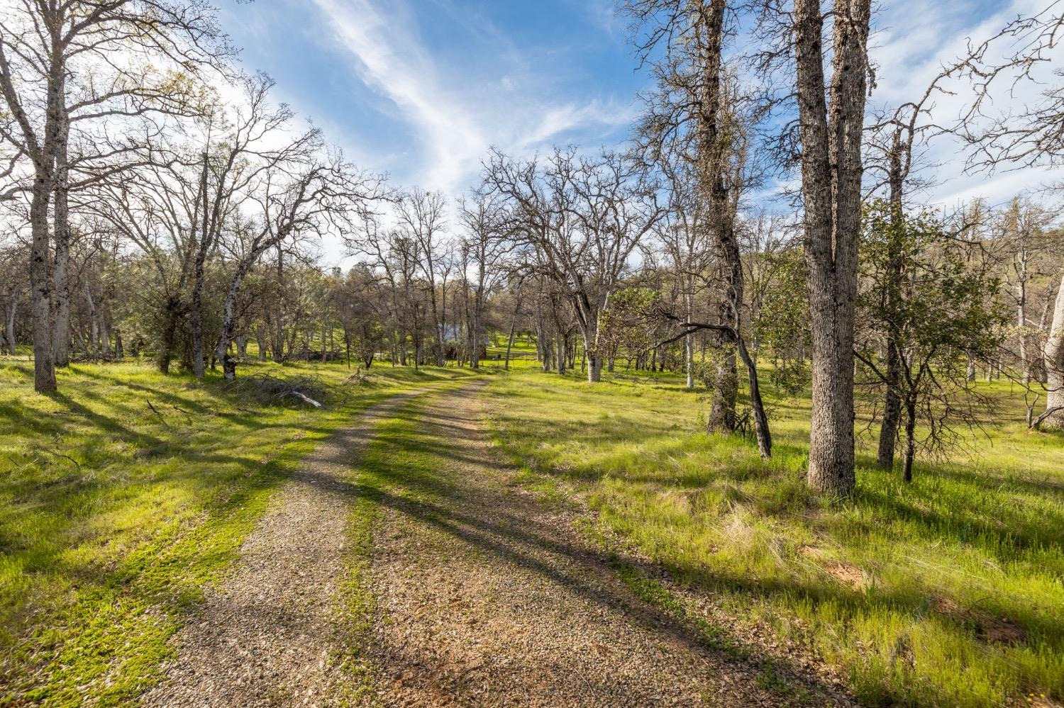 5328 East Whitlock Road Mariposa, CA 95338 - Photo 15 of 22 a view of an outdoor space with a lake view