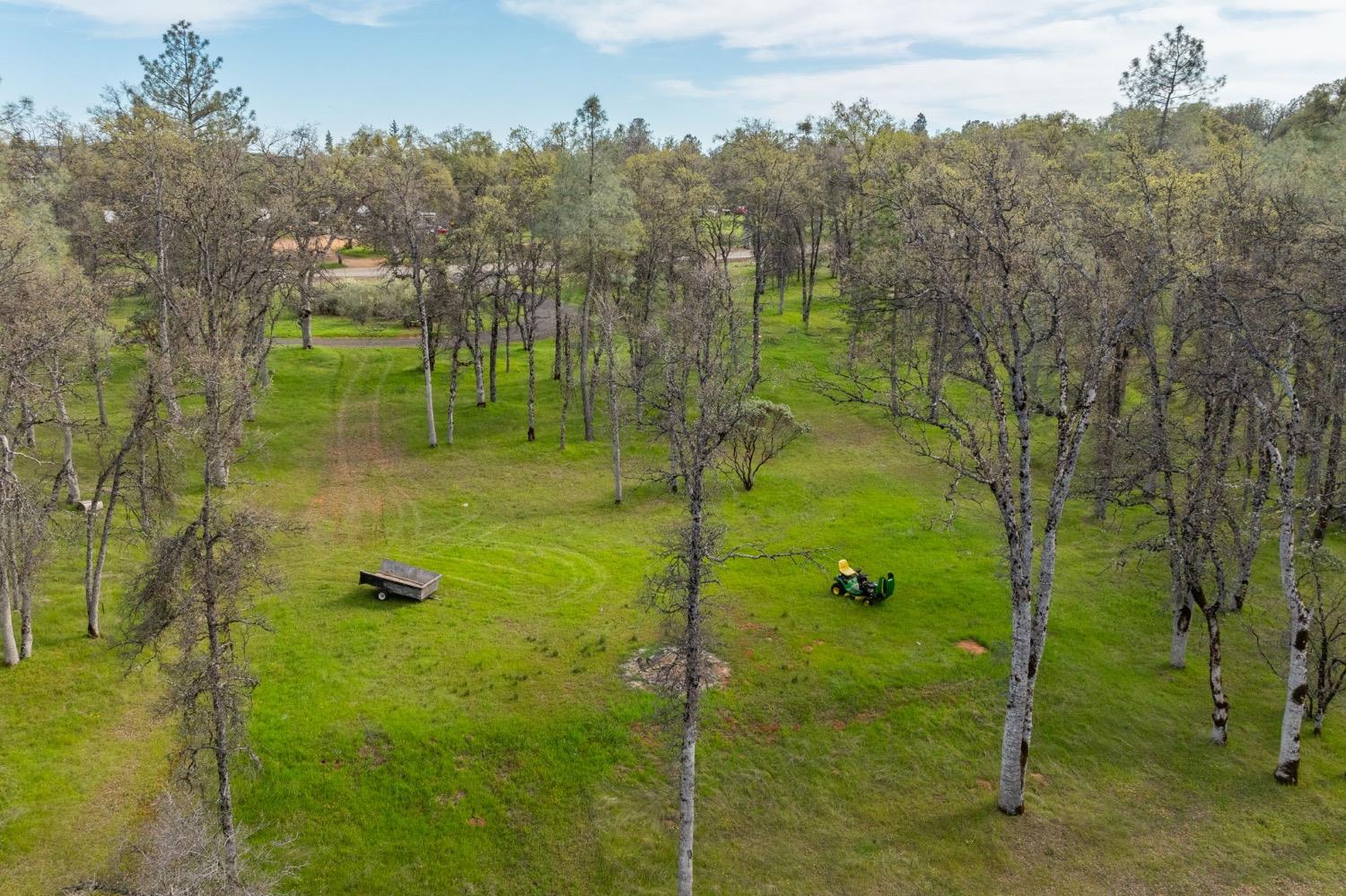 5328 East Whitlock Road Mariposa, CA 95338 - Photo 21 of 22 a view of a garden