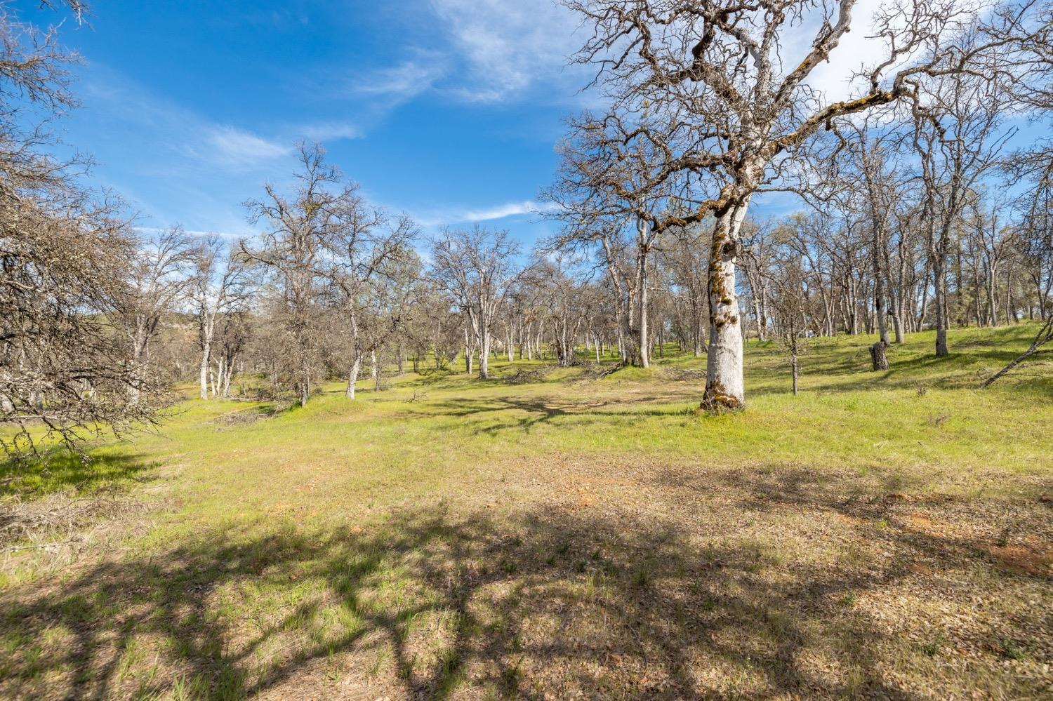 5328 East Whitlock Road Mariposa, CA 95338 - Photo 3 of 22 a view of yard with swimming pool