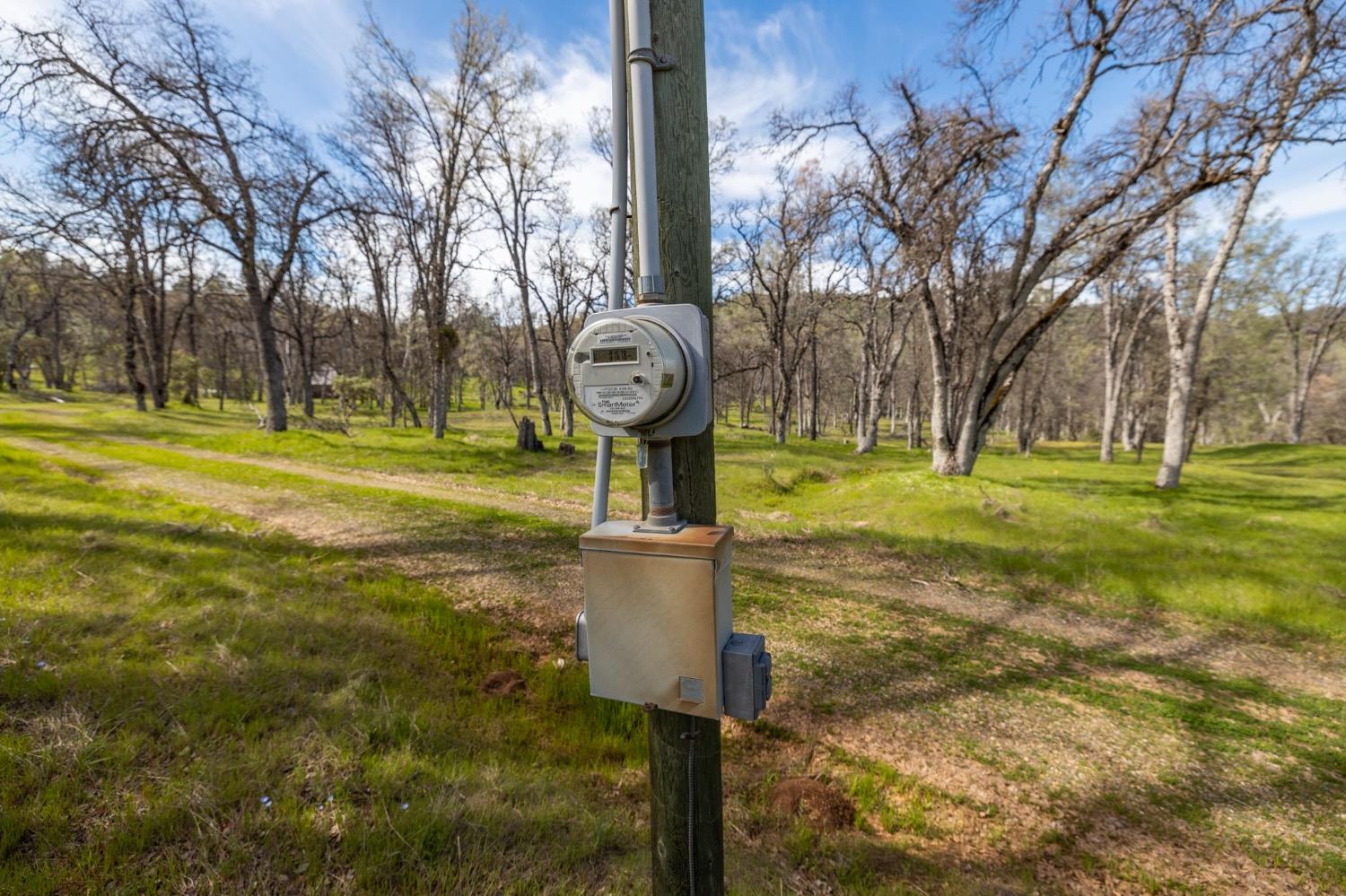 5328 East Whitlock Road Mariposa, CA 95338 - Photo 6 of 22 a front view of a house with garden