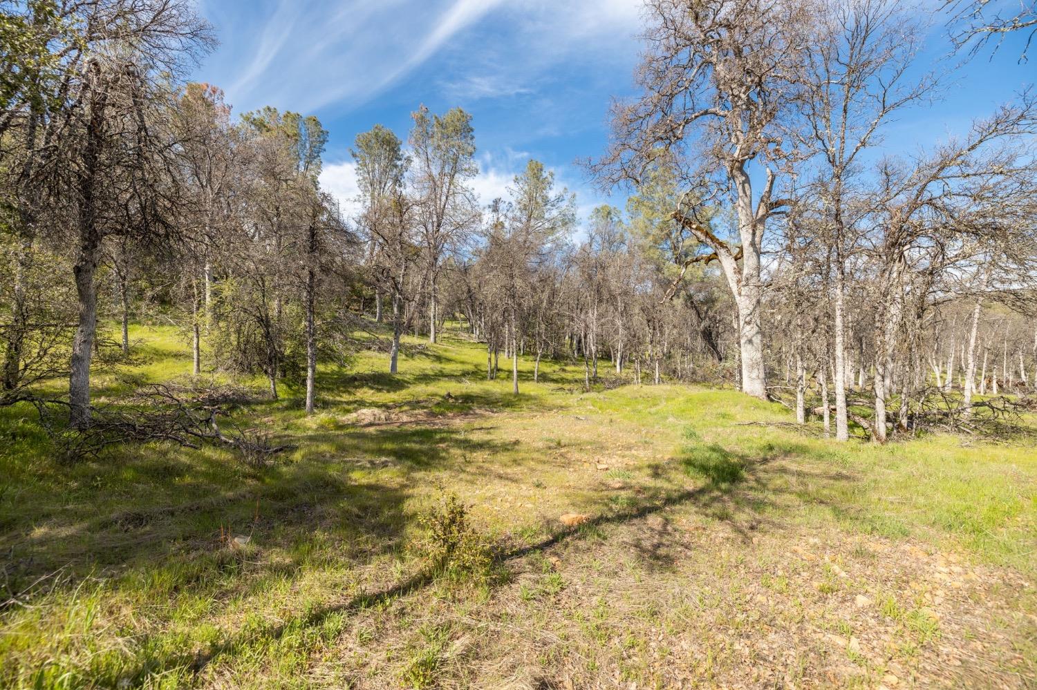 5328 East Whitlock Road Mariposa, CA 95338 - Photo 7 of 22 a swimming pool with trees in the background