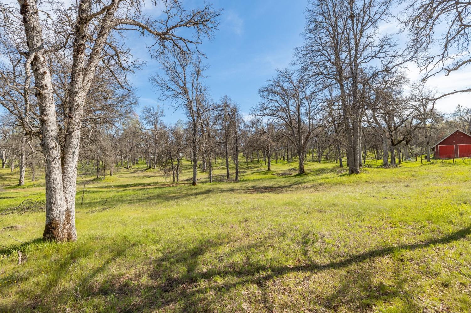 5328 East Whitlock Road Mariposa, CA 95338 - Photo 8 of 22 a view of yard with swimming pool