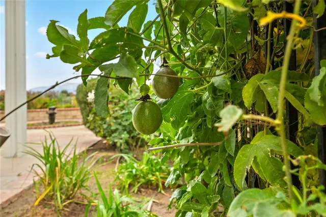 $829,900 | 2113 South Wild Canyon Drive, Grand Terrace, CA 92324