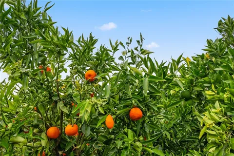 a room with a sink and cabinets