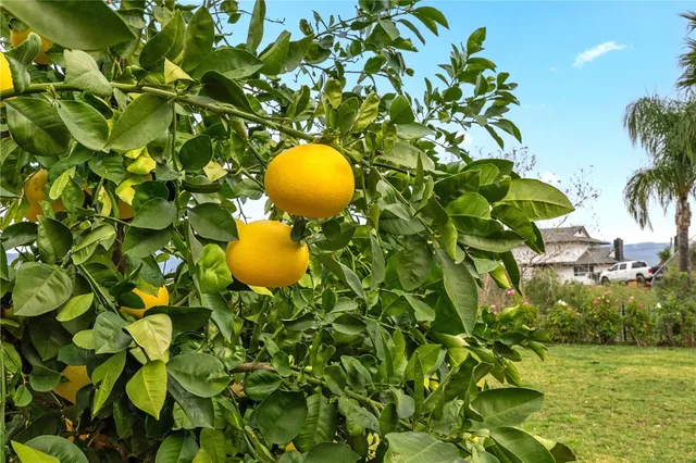 $829,900 | 2113 South Wild Canyon Drive, Grand Terrace, CA 92324