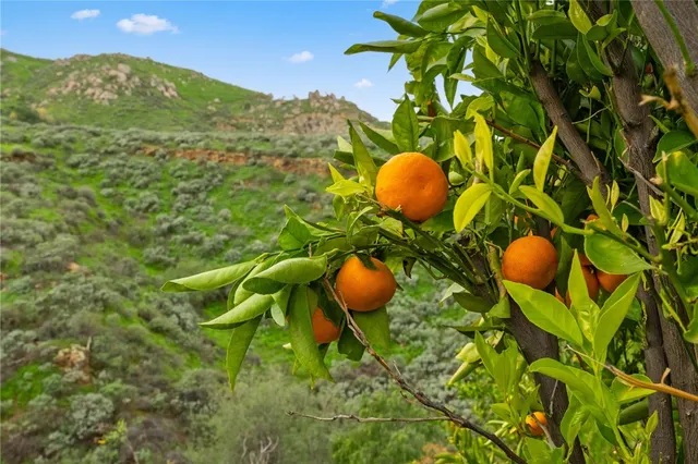 $829,900 | 2113 South Wild Canyon Drive, Grand Terrace, CA 92324