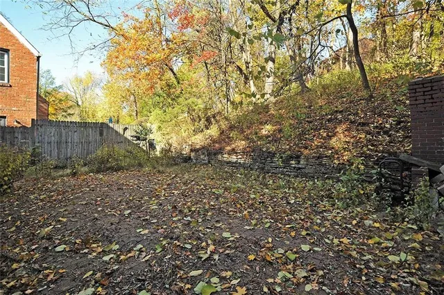 a view of a backyard