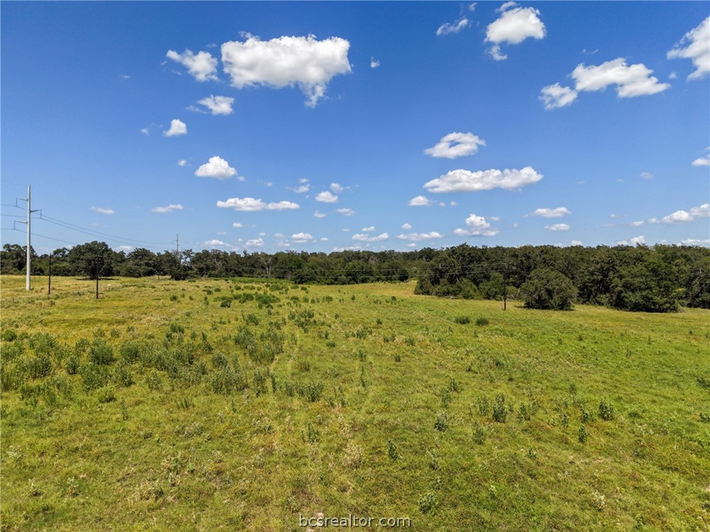 2445 Old Hickory Grove Road Franklin, TX 77856 - Photo 7 of 9 Gallery Image 7