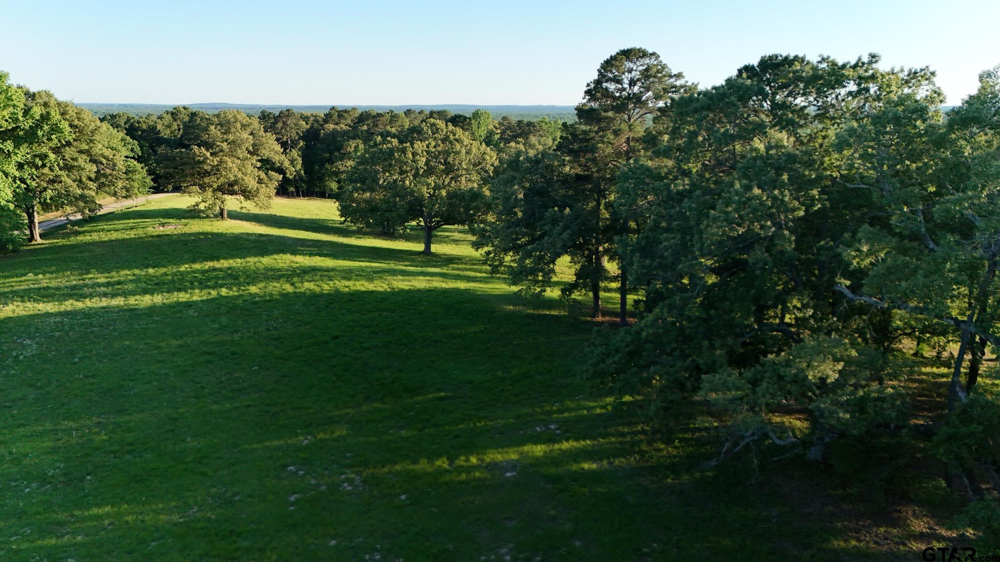 0 County Road 2680 Hawkins, TX 75765 - Photo 11 of 38