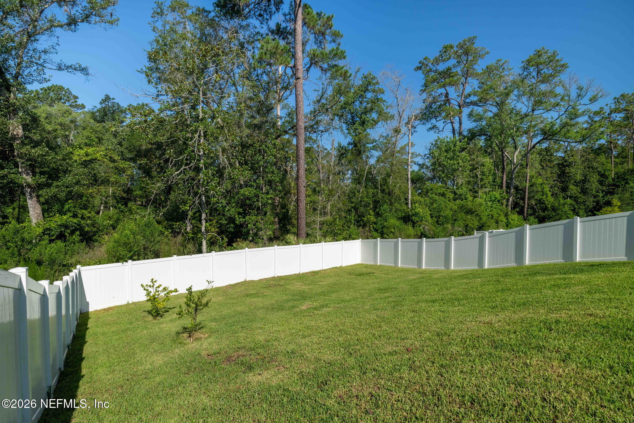 82 Wards Ravine Way St. Johns, FL 32259 - Photo 36 of 55 Backyard