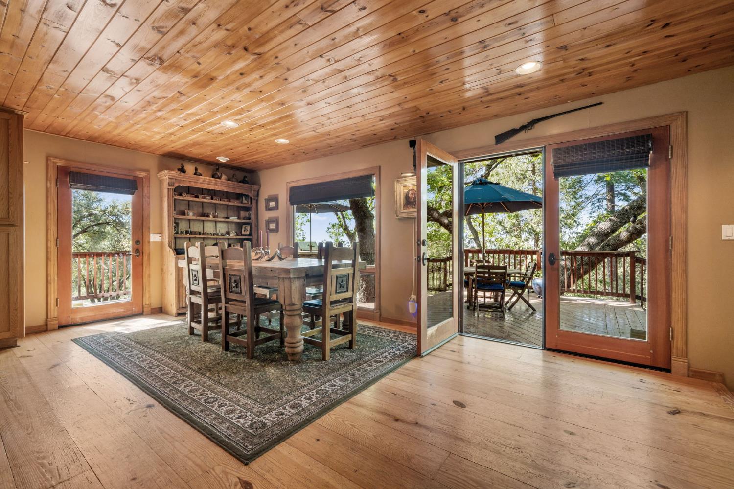 22401 Volcano Hills Road Pioneer, CA 95689 - Photo 6 of 43