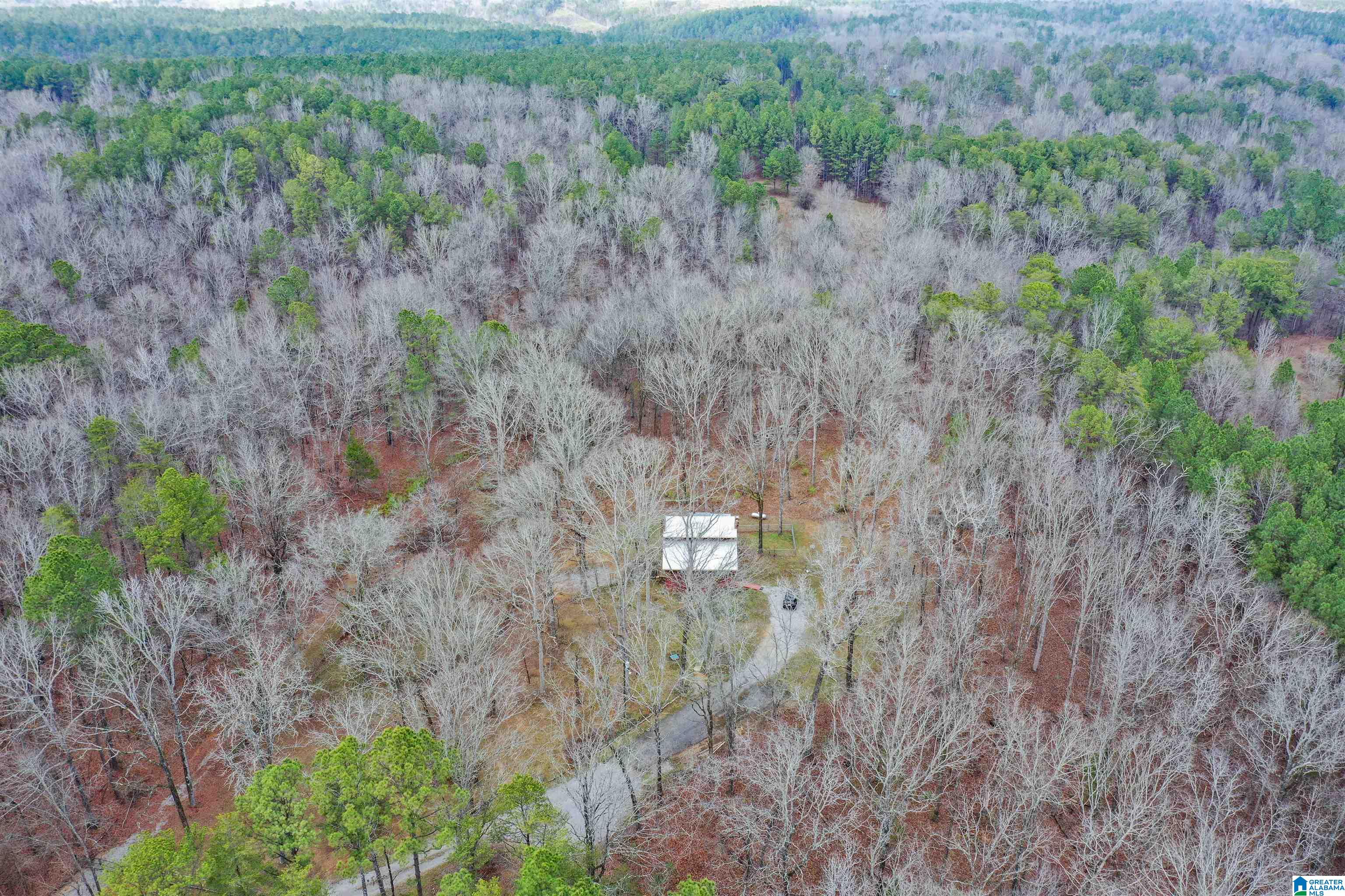 345 Brown Road Calera, AL 35040 - Photo 88 of 88 Gallery Image 88