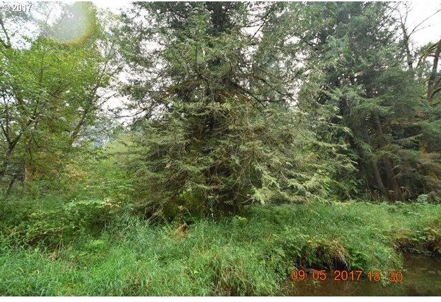 0 Northeast Thompson Road Yacolt, WA 98675 - Photo 7 of 23 Gallery Image 7
