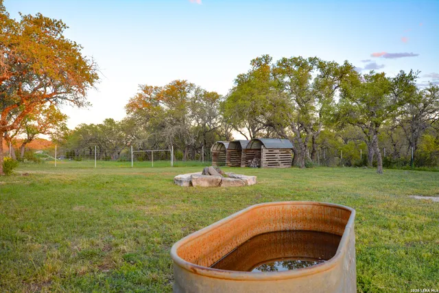 a view of a garden with plants