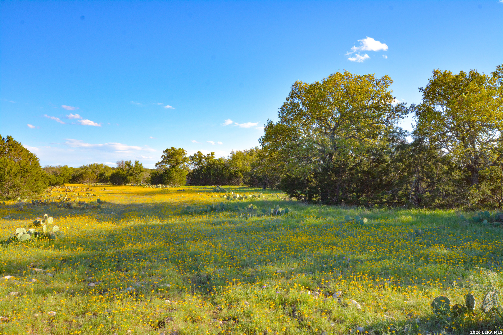 482 Wingert Road Junction, TX 76849 - Photo 3 of 63