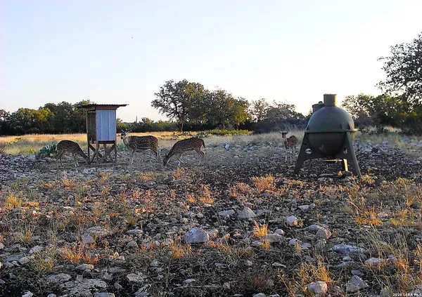 $989,000 | 482 Wingert Road, Junction, TX 76849