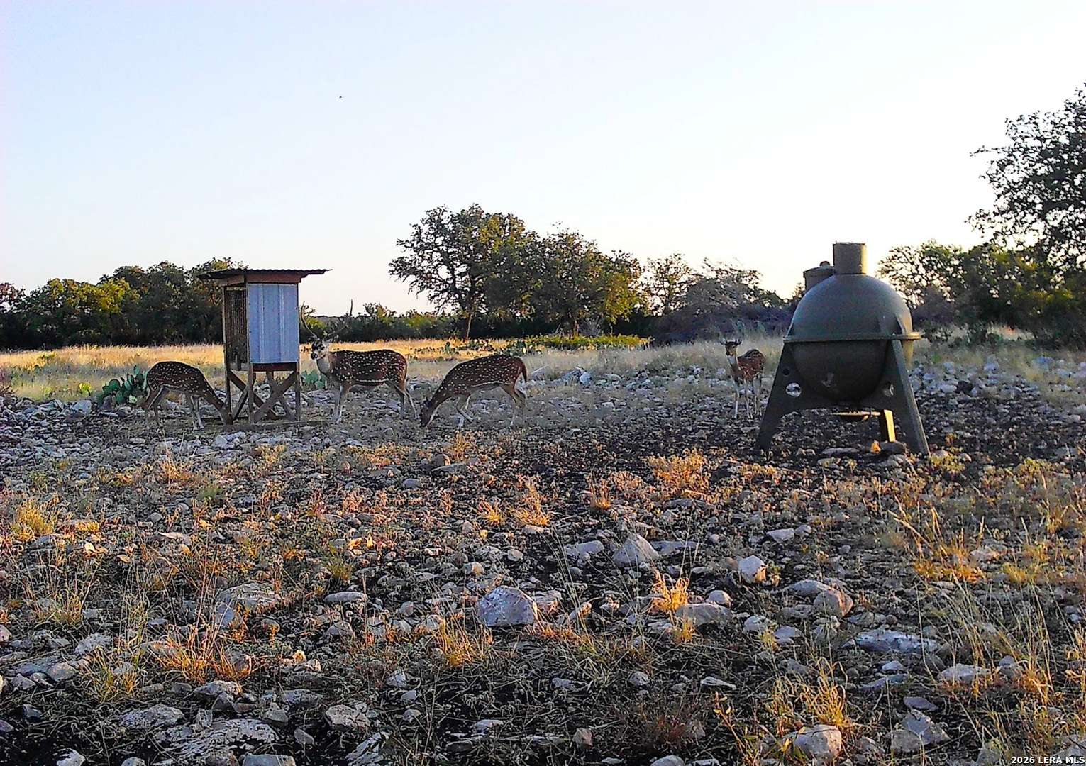 482 Wingert Road Junction, TX 76849 - Photo 40 of 63