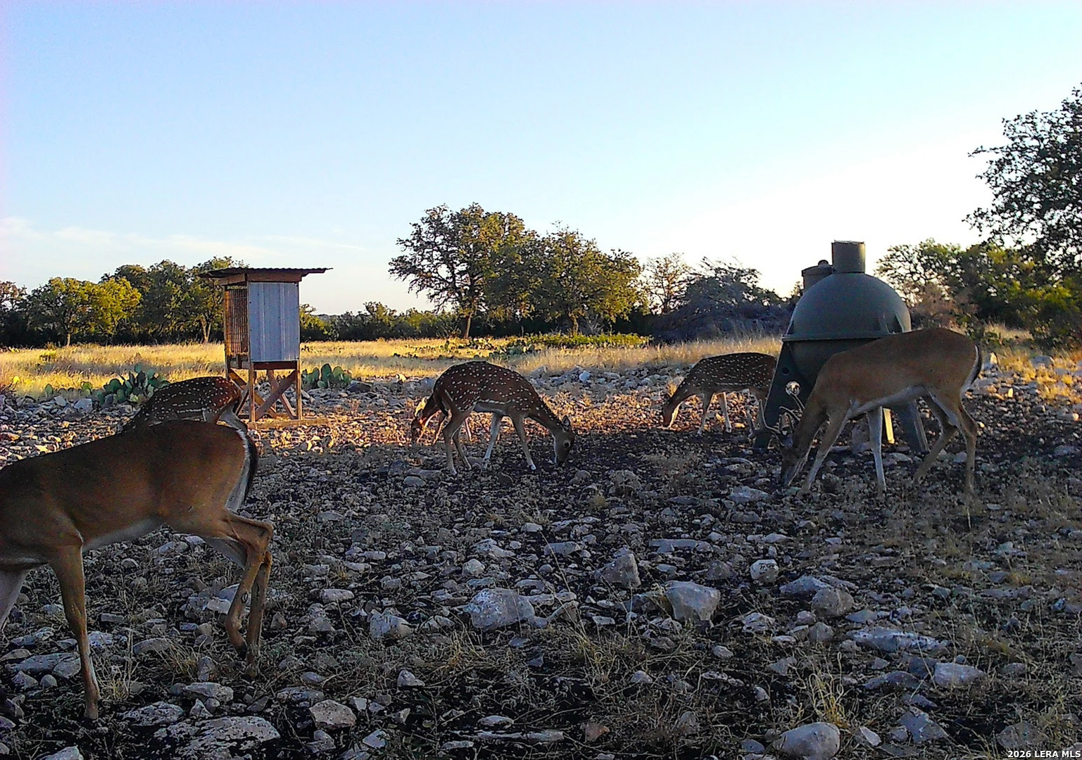 482 Wingert Road Junction, TX 76849 - Photo 41 of 63