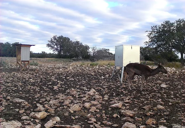 $989,000 | 482 Wingert Road, Junction, TX 76849