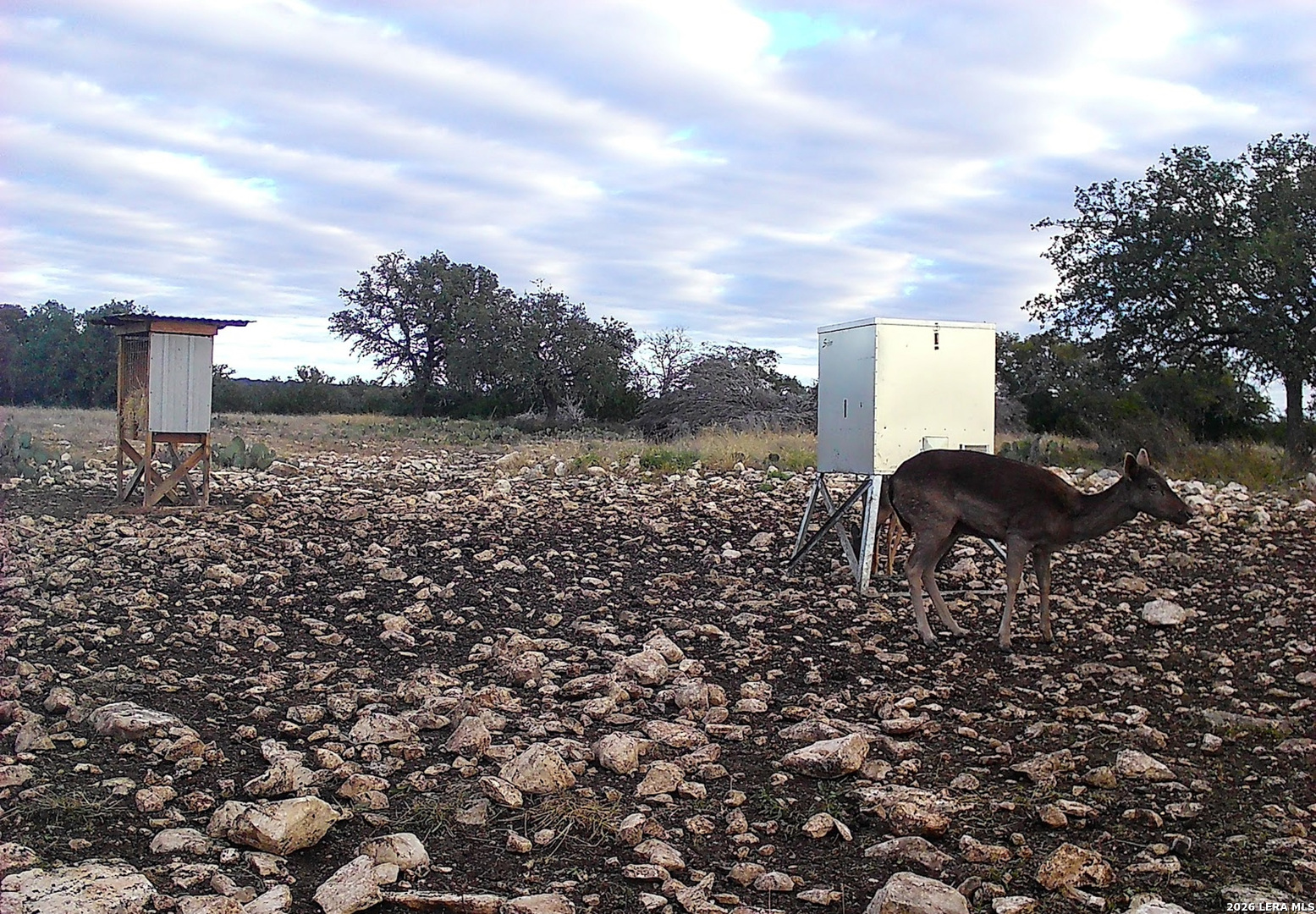 482 Wingert Road Junction, TX 76849 - Photo 42 of 63