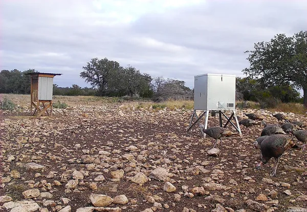 $989,000 | 482 Wingert Road, Junction, TX 76849