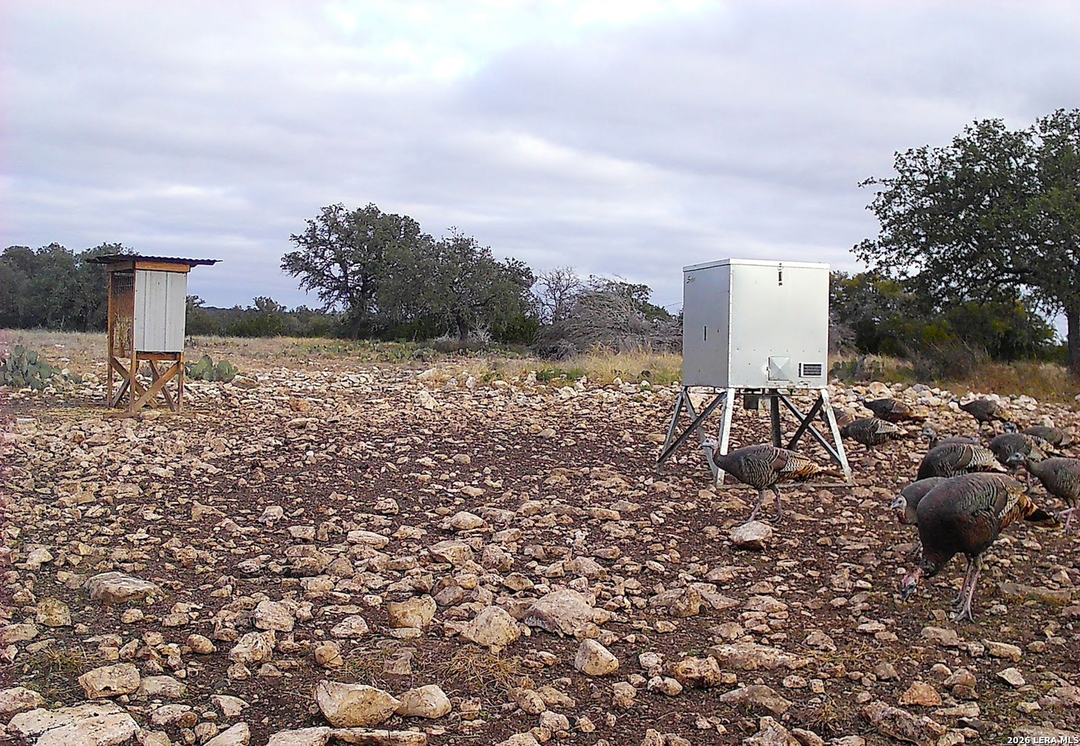 482 Wingert Road Junction, TX 76849 - Photo 43 of 63