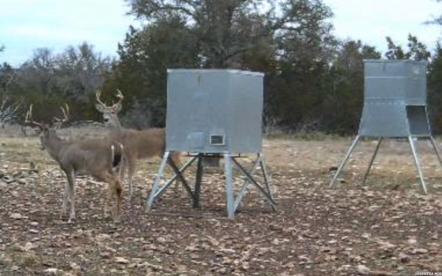 482 Wingert Road Junction, TX 76849 - Photo 44 of 63