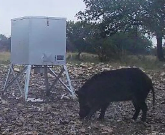 $989,000 | 482 Wingert Road, Junction, TX 76849