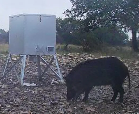 a view of a field with an ocean view