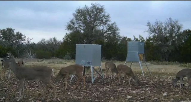 a view of a lush green space with sea