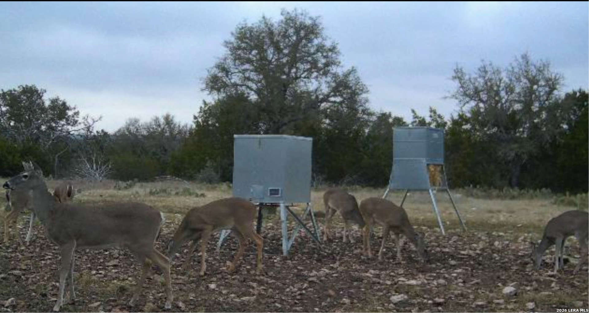 482 Wingert Road Junction, TX 76849 - Photo 46 of 63