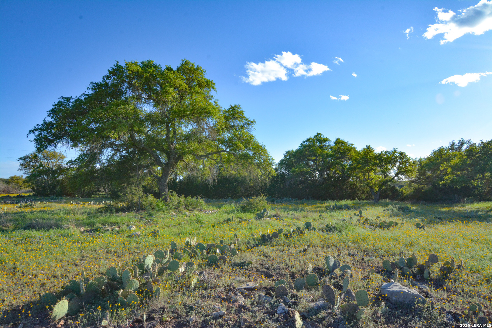 482 Wingert Road Junction, TX 76849 - Photo 50 of 63