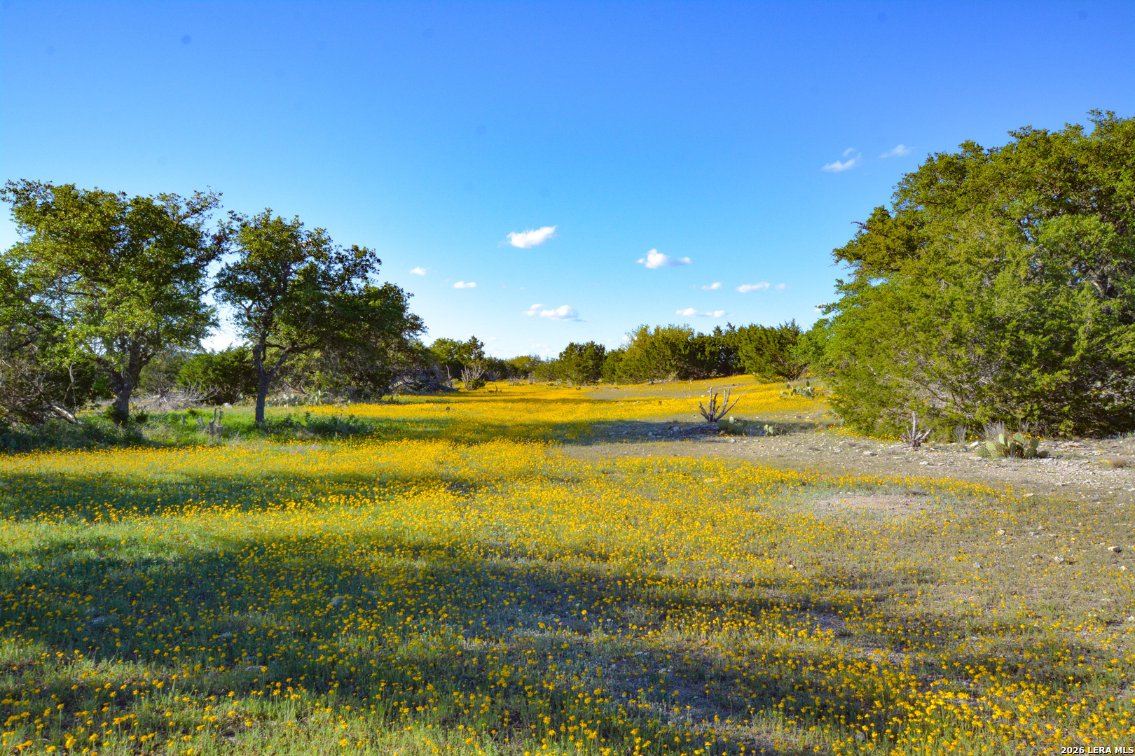 482 Wingert Road Junction, TX 76849 - Photo 5 of 63